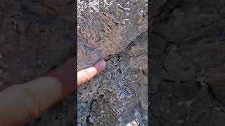 Putting My Finger On A Plate Boundary earthquakefault geology [upl. by Llyrad]