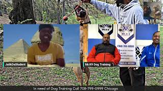 Mel McDuffy amp Son Khalil trainers on DefensePrey Pitbulls doing protection Dogs from 8090s [upl. by Barcot143]