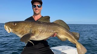 Dänemark Spodsbjerg Langeland  Dorsch Angeln  Hochsee  Torskefiskeri  Ostsee  SDM Fishing [upl. by Leryt243]