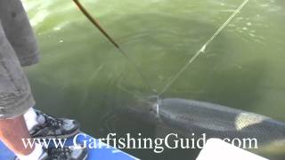 Alligator Gar Fishing 7 foot MONSTER [upl. by Marybella]