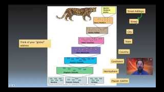 Taxonomy Phylogeny and Systematics [upl. by Sidnac]