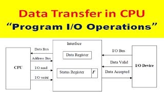 What is Programmed IO Operations in Computer Architecture  Data Transfer in CPU [upl. by Eslehc328]