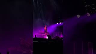 🎤🎵 ARCA Estereo Picnic 2024 Bogotá DC Colombia Parque Simón Bolivar 1 [upl. by Knudson]