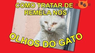 Como Tratar de Remela nos Olhos dos Gatos [upl. by Alix]