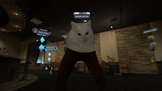 The wonderful world of VrChat [upl. by Cock]