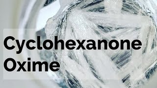 Cyclohexanone Oxime Organic Synthesis [upl. by Hendricks]