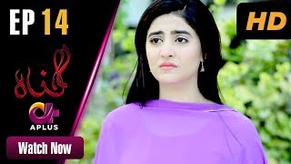 Gunnah  EP 14  Aplus Sara Elahi Shamoon Abbasi Asad Malik  Pakistani Drama  C3M1 [upl. by Aicilyt889]