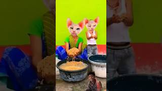 dhinka chika dhinka chika 🤪🤩🤩🤩🤣🤩🤩🤣 funny youtubeshorts trending cute cat pets comedy bhoot [upl. by Elehcar]