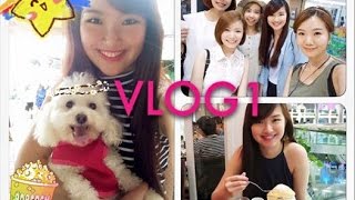 🎈Suenn VLOG 1🎈帶小雨去街街🐩西貢食海鮮 Meeting YouTubers [upl. by Winnah]