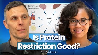 The Benefits of Protein Restriction How Protein Affects Hormones amp FGF21  52  Cristal Hill [upl. by Woodie]