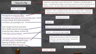 Ted Hughes  View of a Pig  Annotation [upl. by Reese]