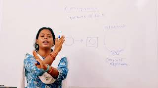 chapterBiotechnology TopicCloning Vector class 12th cbsechse mamatazoology2024 [upl. by Billye]