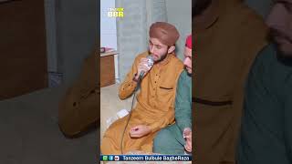 Tanam Farsooda Jaan Para  Muhammad Hazrat Ullah Khan Qadri [upl. by Daukas]