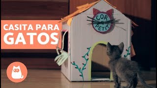 10 Ideas Para Dueños De Gatos [upl. by Eisso752]