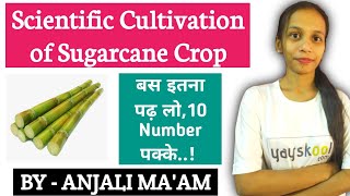 Cultivation of SugarcaneFCI AGM UPPSC DHOIBPS AFOICAR JRF ASRB NETSRFAAOADOAgriculture amp GK [upl. by Ailimat]