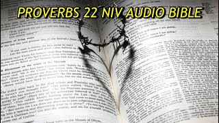 PROVERBS 22 NIV AUDIO BIBLEwith text [upl. by Hamlani]