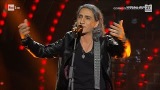 Michele Minneci  Ligabue canta quotQuesta è la mia vitaquot  Tali e Quali 27012024 [upl. by Nnainot670]