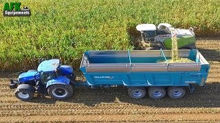 TEAM ROLLAND amp LAIR à lENSILAGE de MAÏS 2018 l FENDT  JOHN DEERE  NEW HOLLAND  CLAAS l ETA LEPI [upl. by Fries]