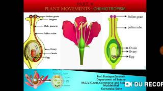 Plant Movements Chemotropism [upl. by Silera]