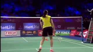 2014 YONEX DENMARK OPEN  F WS  Li X R 1 CHN VS Wang Y H 3 CHN [upl. by Seaman]