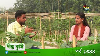 DEEPTO KRISHI  বগুড়া শিবগঞ্জের একজন সফল উদ্যোক্তা সামিউল ইসলাম  Deepto TV [upl. by Ayifa]