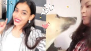 Aj Me mili Copper se 🐶😁  39366 daily vlog challenge like trending viral share yt vlog [upl. by Aw]