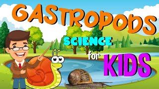 Gastropods  Science for Kids [upl. by Arenat734]