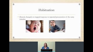 Habituation amp Dishabituation in developmental psychology  with Dr Z [upl. by Yrem]