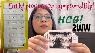 Early Pregnancy Symptoms  Hcg levels  8 dpo BFP  Line progression 817 dpo  scan results [upl. by Ferretti373]