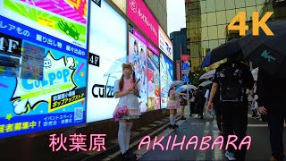 【4k】Tokyo walkAkihabara☔雨の秋葉原を散歩 [upl. by Attaymik]