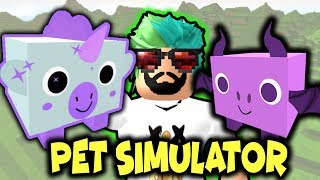 🐱 DÜNYANIN EN GÜZEL PETLERİ 🐶 ROBLOX PET SİMULATOR [upl. by Penrose]