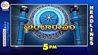 5 PM  15th July 2024  Ghantaravam  News Headlines  ETV Telangana [upl. by Allehcram]