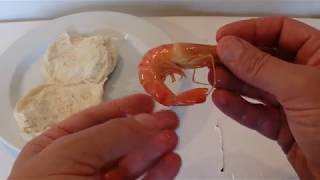 How to Peel Shrimps or Prawns  Simple and Easy Method  Step by Step Tutorial [upl. by Liebowitz]