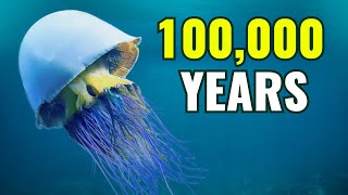 10 OLDEST Living Creatures On Earth [upl. by Akiram318]