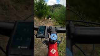 I cant keep Dammit Janet Rotorua NZ mtb mtblife [upl. by Jojo]