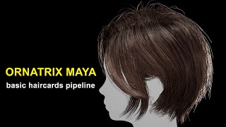 Ornatrix Maya  How to work with HairCards  Full pipeline example [upl. by Okire]