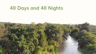 40 Days and 40 Nights in a Treehouse [upl. by Esidnac]