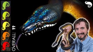 Whitelipped Python The Best Pet Snake [upl. by Daffie]