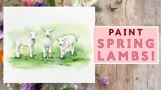 How To Paint Watercolour Spring Lambs [upl. by Adnert158]