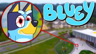 Drone Catches BLUEY HEELER From BLUEY IN REAL LIFE BINGO BANDIT amp CHILLI [upl. by Valentina362]