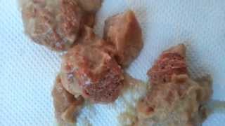 Joikakaker Canned Forcemeat Meatballs with Game sauce [upl. by Enyrb863]