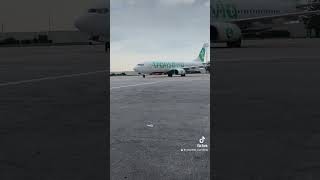 transavia welcome winter [upl. by Bringhurst]