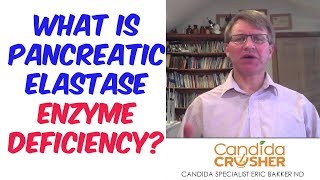 What Is Pancreatic Elastase Enzyme Deficiency [upl. by Lussier]