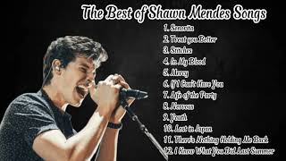 The Best of Shawn Mendes Songs [upl. by Mellisent277]