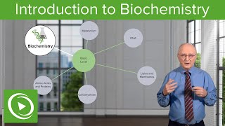 Introduction to Biochemistry – Biochemistry  Lecturio [upl. by Bergren]