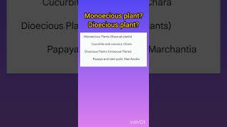 Monoecious plant Dioecious plant examples NCERT neetbiology neet2024 shortstrending [upl. by Drawets]