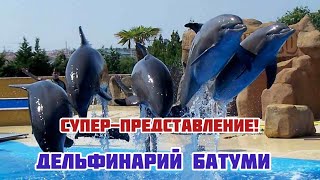 СУПЕР ШОУ ДЕЛЬФИНОВ  БАТУМСКИЙ ДЕЛЬФИНАРИЙ  Batumi Dolphinarium ВЕЧЕРНЯЯ НАБЕРЕЖНАЯ [upl. by Alyam577]