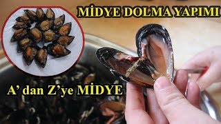 MİDYE HAKKINDA HERŞEY MİDYE DOLMA YAPIMI [upl. by Coreen641]