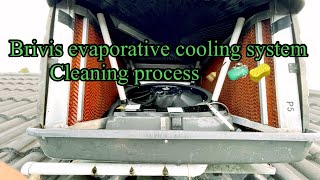 Evaporative cooling system cleaning BRIVIS brand [upl. by Tremml]