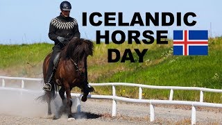 Icelandic Horse Day Featuring the ToltTölt and Pace [upl. by Luar197]